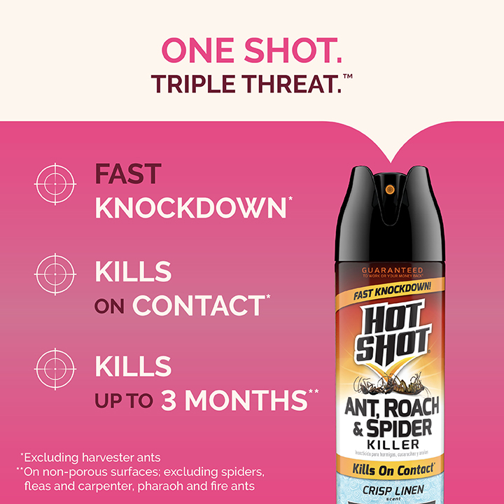 Ant, Roach & Spider Killer Crisp Linen Scent 17.5 oz One Shot Triple Threat